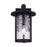 Canarm Leon 1 Light Outdoor Lantern, Black