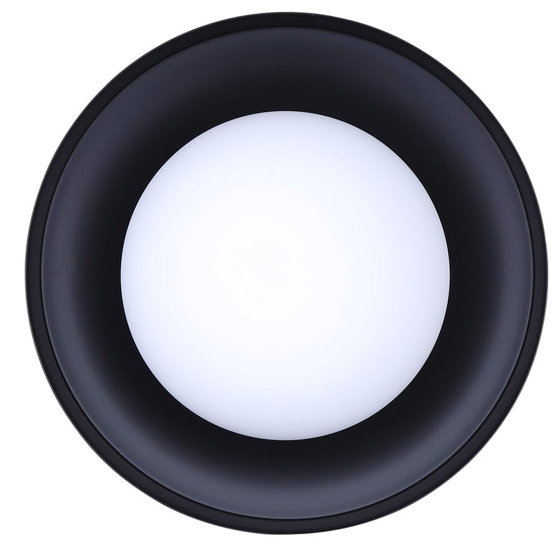 Canarm Baylor 1 Light 11" Outdoor Flush Mount, Black