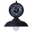 Canarm Desi 1 Light 10" Outdoor Lantern, Sand Black