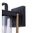 Canarm Aki 1 Light 12" Outdoor Lantern, Black/Wood