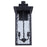 Canarm Shana 2 Light 22" Outdoor Lantern, Black