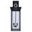 Canarm Shana 4 Light 30" Outdoor Lantern, Black