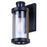 Canarm Maddox 1 Light 11.25" Outdoor Lantern, Black