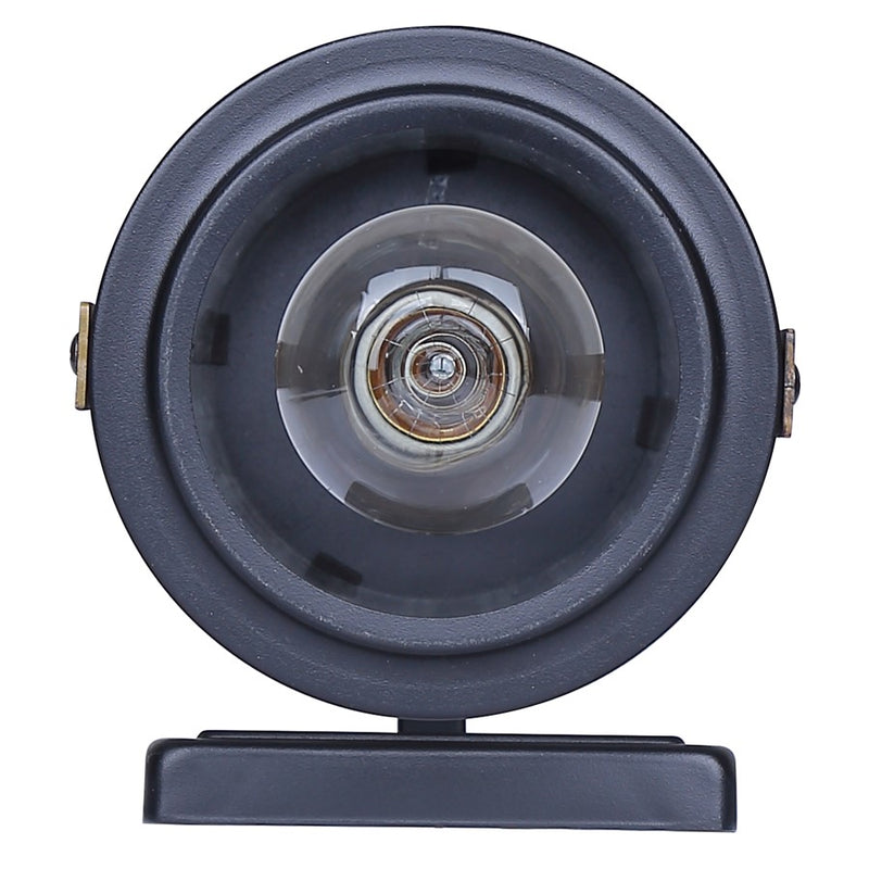 Canarm Maddox 1 Light 11.25" Outdoor Lantern, Black