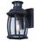 Canarm Buckly 10.25" Outdoor Lantern, White - IOL715BK