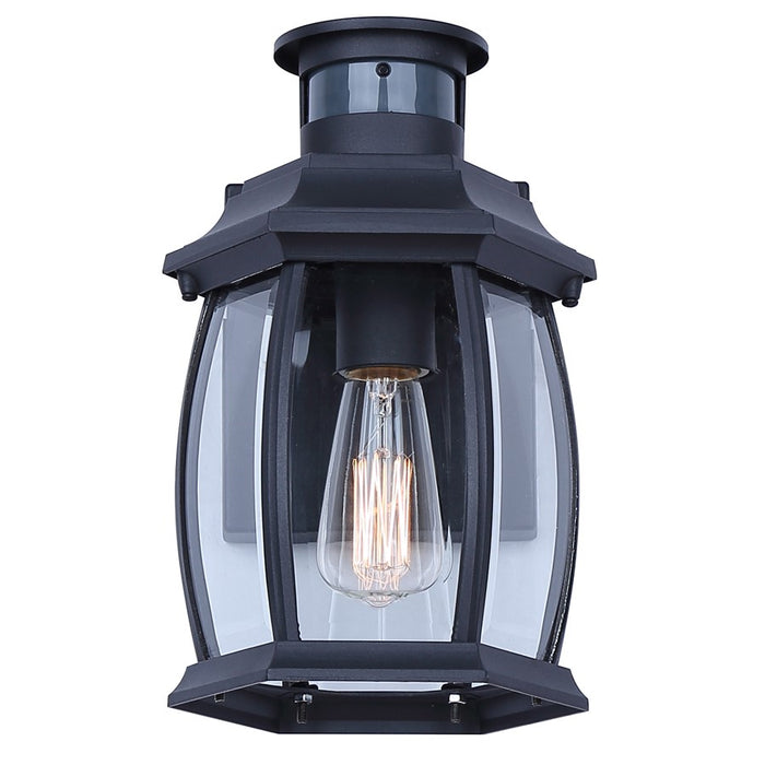 Canarm Buckly 10.25" Outdoor Lantern, White