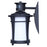 Canarm Casper 1 Light 11.25" Outdoor Lantern, Black