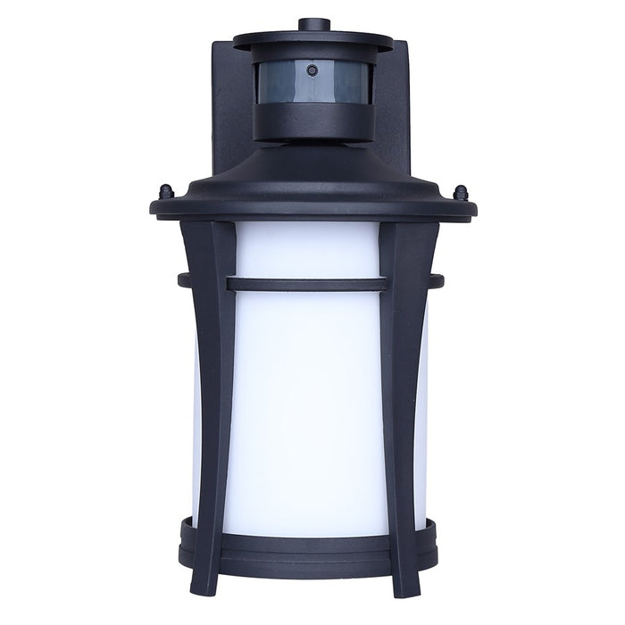 Canarm Casper 1 Light 11.25" Outdoor Lantern, Black