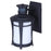 Canarm Casper 1 Light 11.25" Outdoor Lantern, Black