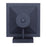 Canarm Grant 1 Light 12" Outdoor Lantern, Black