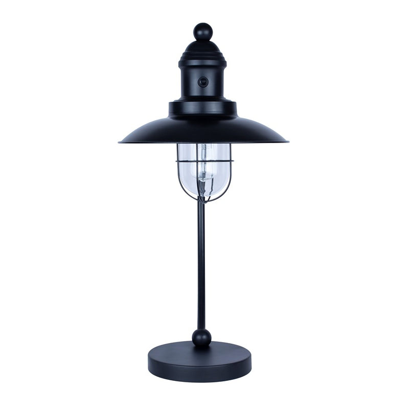 Canarm Cavea 1 Light 26" Outdoor Lantern, Matte Black