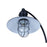 Canarm Cavea 1 Light 26" Outdoor Lantern, Matte Black