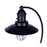 Canarm Cavea 1 Light 26" Outdoor Lantern, Matte Black