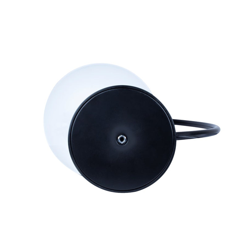 Canarm Cavea 1 Light 26" Outdoor Lantern, Matte Black