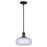 Canarm Ledger 1 Light 10.5" Pendant, Black