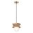 Canarm Kali 1 Light 9.8" Pendant, Black