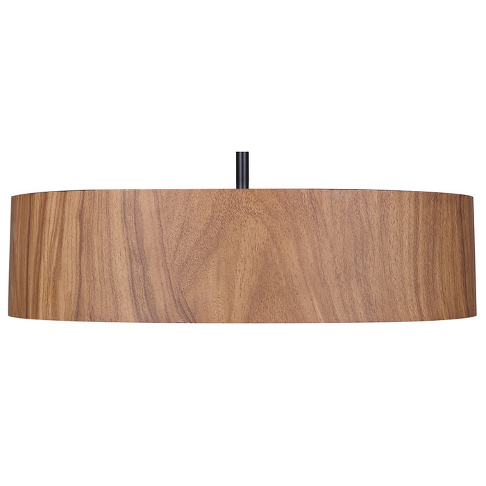 Canarm Dexter 3 Light 16" Pendant, Matte Black