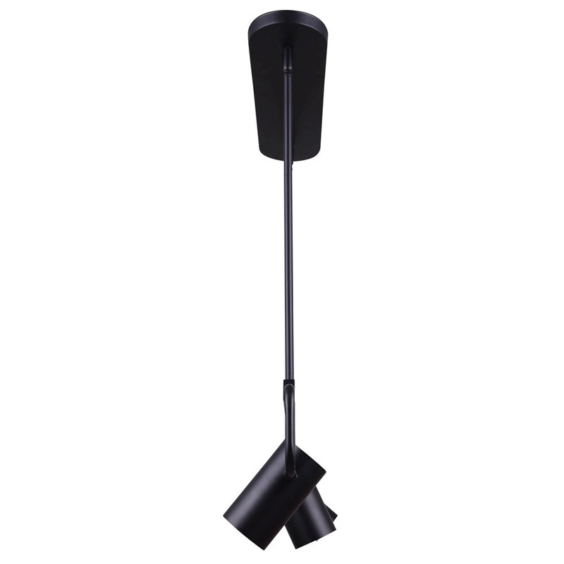 Canarm Leal 4 Light Suspended Track Lighting, Black