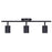 Canarm Rexton 3-LT Track Lighting, Black