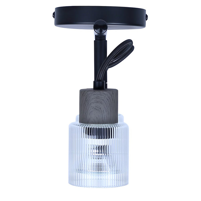 Canarm Owen 2 Light Track Lighting, Black