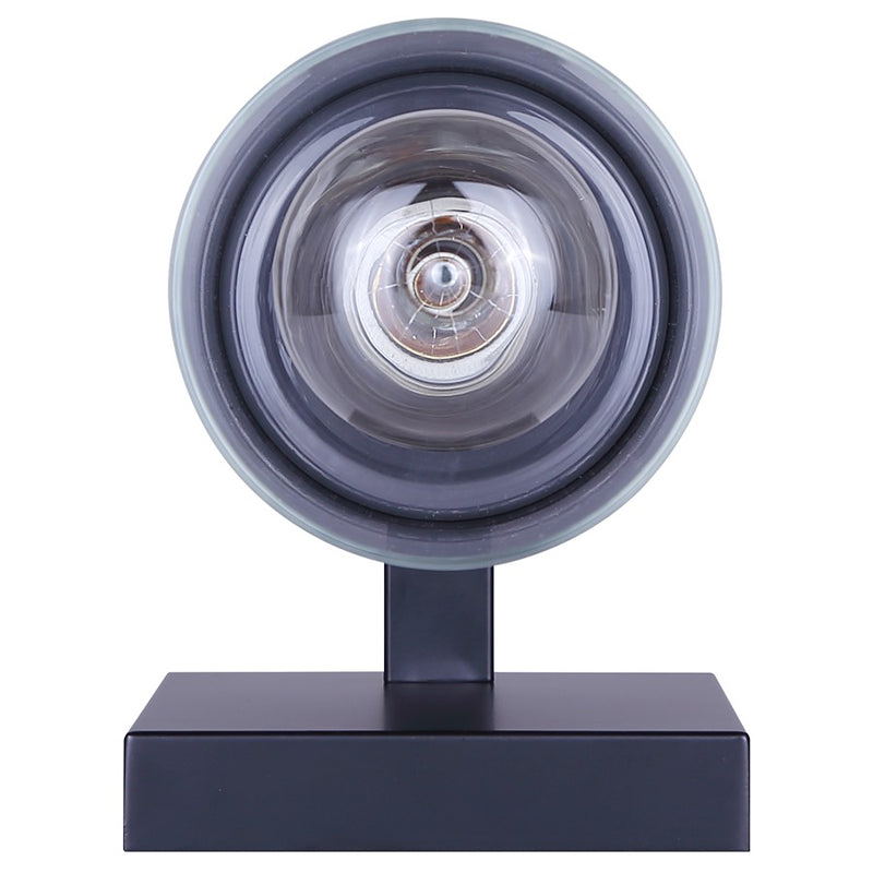 Canarm Britton 1 Light Vanity, Matte Black