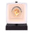 Canarm Hartley 1 Light 6" Vanity, Oil Rubbed Bronze