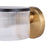 Canarm Jenner 1 Light Sconce, Matte Black/Gold