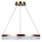 Canarm Elynn 1 Light LED 23.5" Chandelier, Gold