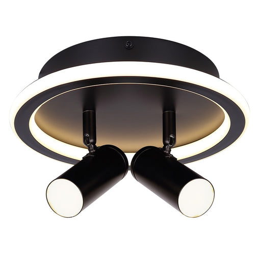 Canarm Denver 2 Light Flush Mount, Black - LCW314A02BK