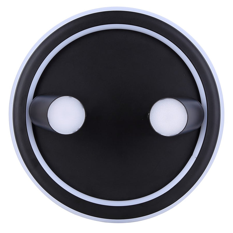 Canarm Denver 2 Light Flush Mount, Black