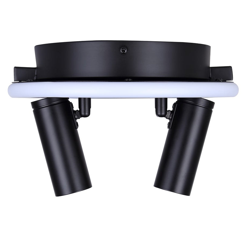 Canarm Denver 9in 2-Light LED Flush Mount | Modern Matte Black and Aluminum | Bedroom & Hallway | 9.5 x 9.5 x 5.75 in | Model LCW314A02BK