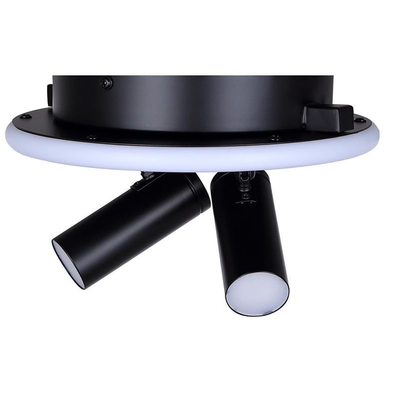 Canarm Denver 2 Light Flush Mount, Black