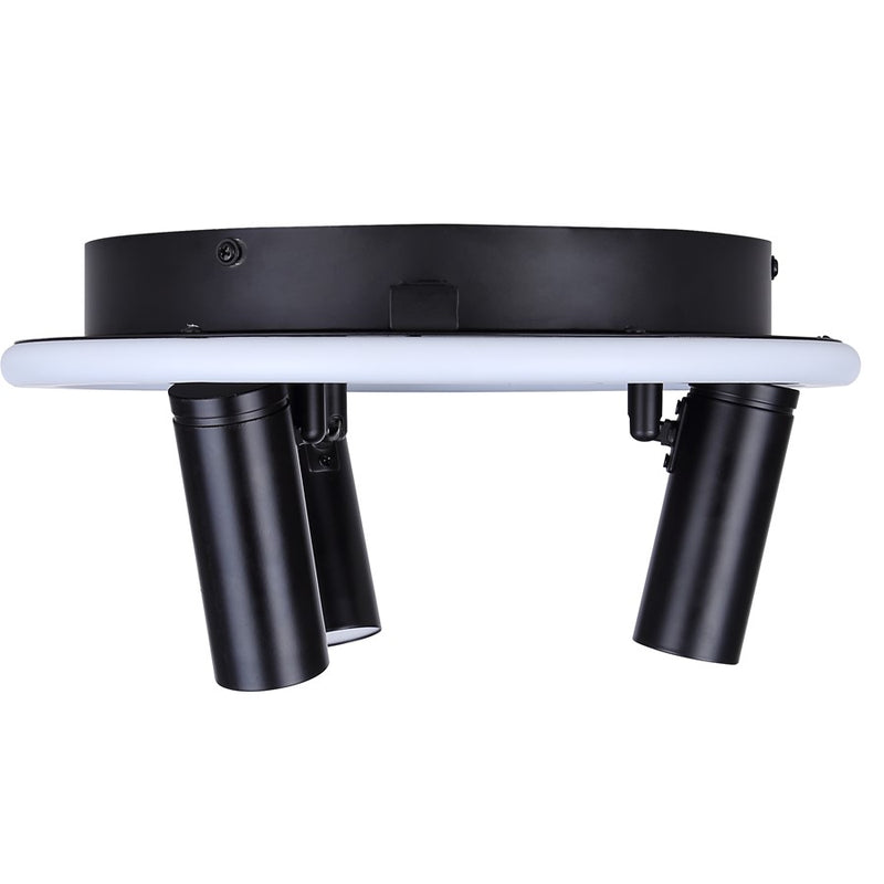 Canarm Denver 3 Light Flush Mount, Black