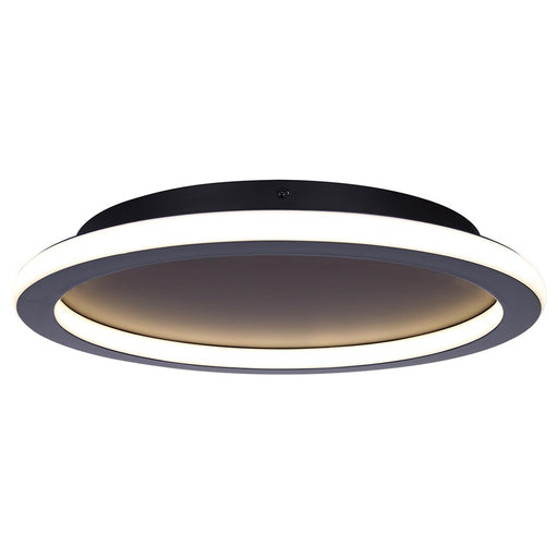 Canarm Gavyn 1 Light 16" Flush Mount, Black