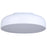 Canarm Zaria 1 Light 13.88" Flush Mount, White