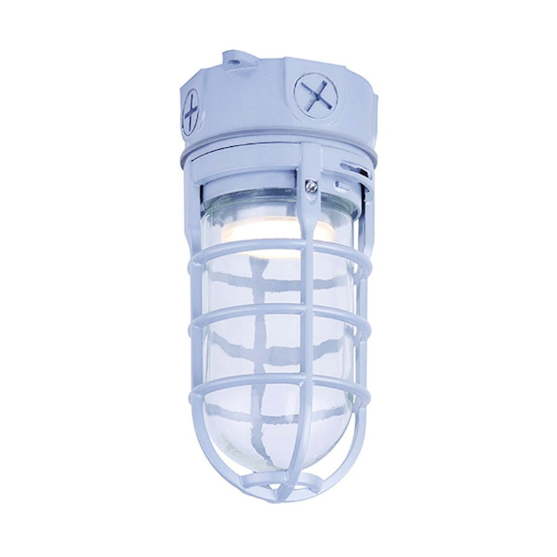 Canarm 4in 1-Light LED Outdoor Wall Sconce | Modern Grey and Clear Glass | Entryway & Covered Patio | 4.25 x 4.25 x 9.25 in | Model LOL391GY