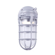 Canarm 7in 1-Light LED Outdoor Security Light | Modern Grey and Clear Glass | Entryway & Garage | 7 x 4.25 x 10 in | Model LOL392GY