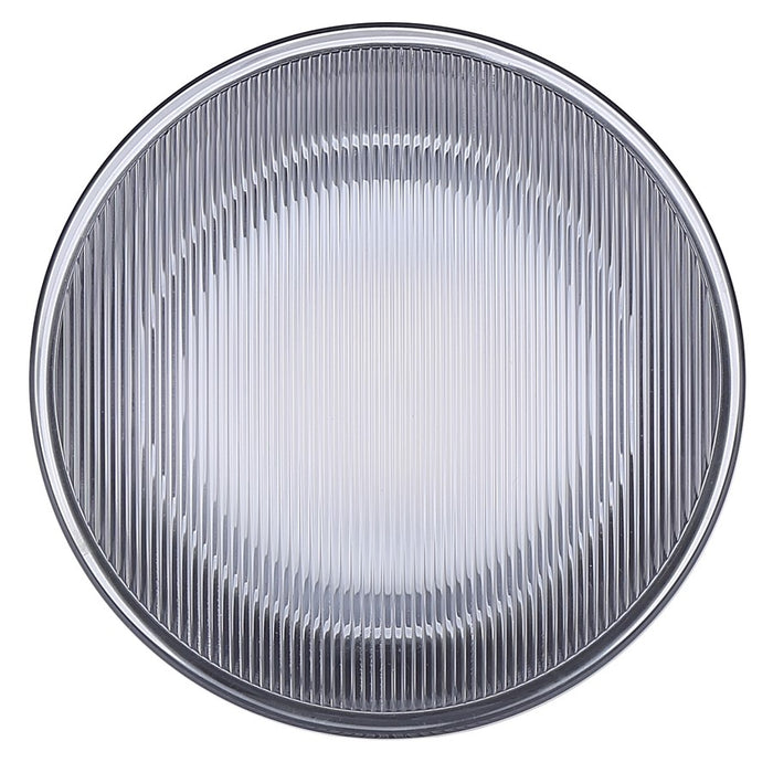 Canarm Benni 1 Light LED 4" Outdoor Lantern, Black