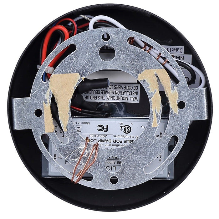 Canarm Benni 1 Light LED 4" Outdoor Lantern, Black