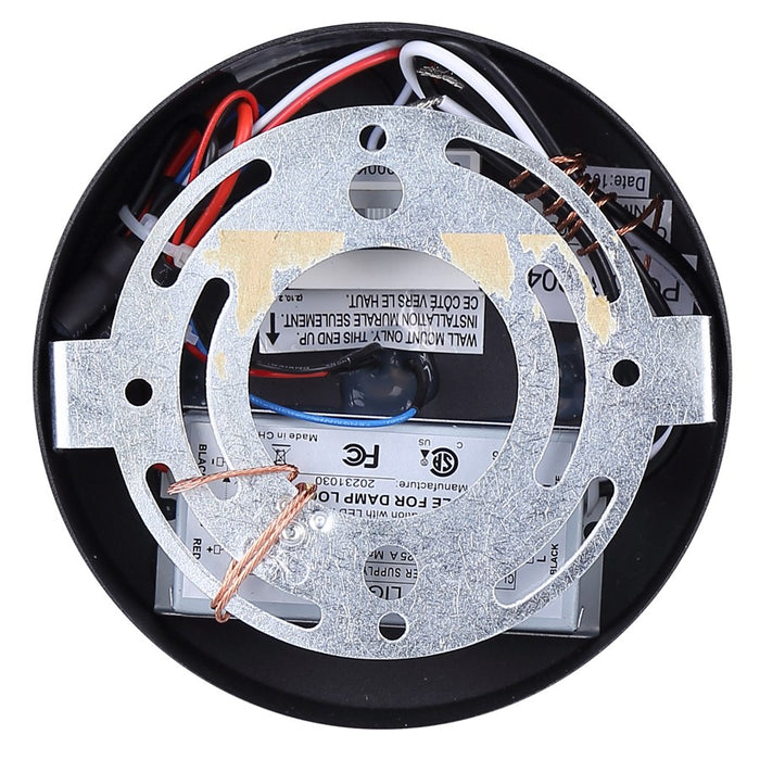 Canarm Benni 1 Light 3.75" Outdoor Lantern, Black