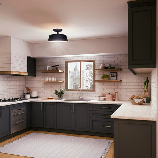 Canarm Baxley 13" LED Outdoor Flush Mount, Black