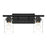 Craftmade Clark 2 Light Vanity, Black/Clear
