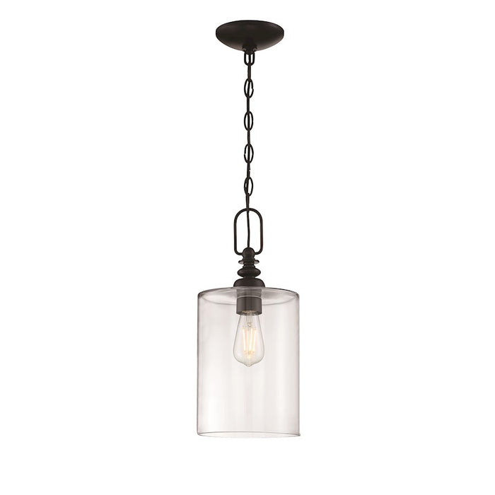Craftmade Dardyn 1 Light Mini Pendant