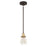 Craftmade Thatcher 1 Light Mini Pendant, Black