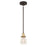 Craftmade Thatcher 1 Light Mini Pendant, Black
