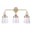 Craftmade Hagen 3 Light Vanity