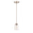 Craftmade Chicago 1 Light Mini Pendant