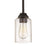 Craftmade Chicago 1 Light Mini Pendant