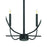 Craftmade Traci 6 Light Chandelier, Black