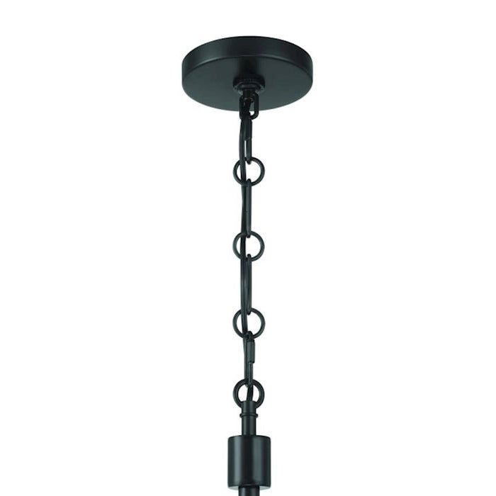 Craftmade Traci 8 Light Chandelier, Black